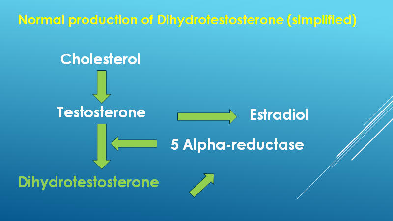 DHT biosynthesis